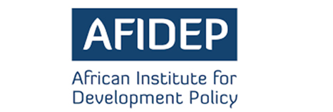 Africa Institute of Development Study