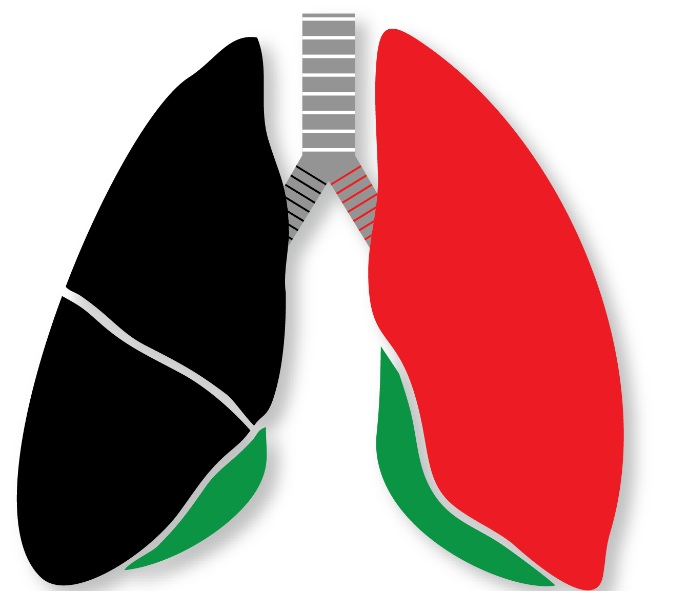 Ministry of Health Kenya